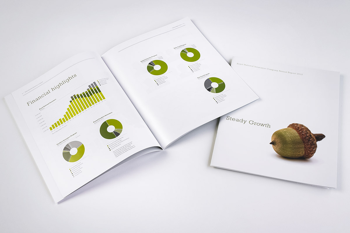 Annual Report 2010 cover and spread